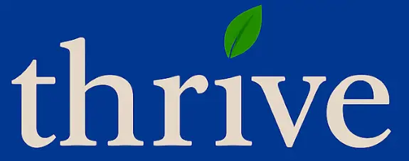 Leadership Coach Annelies Nel's logo